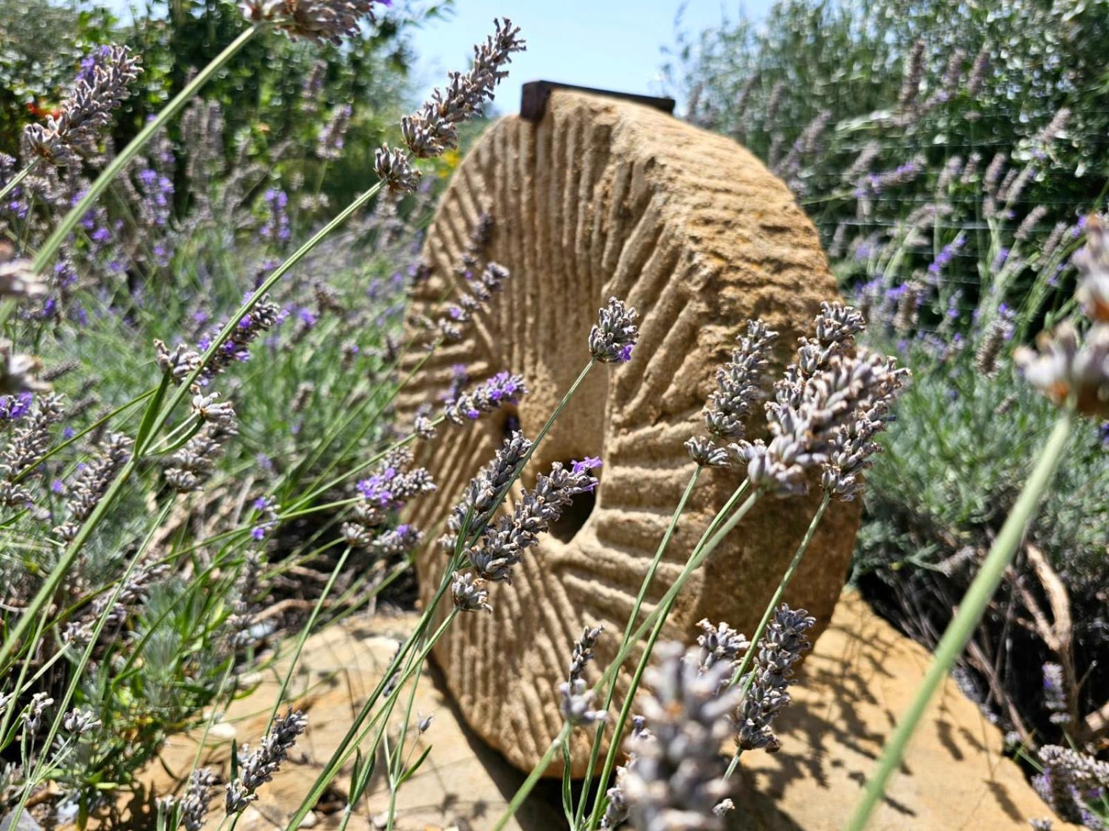 Agriturismo Monaci Templari Seborga Luaran gambar