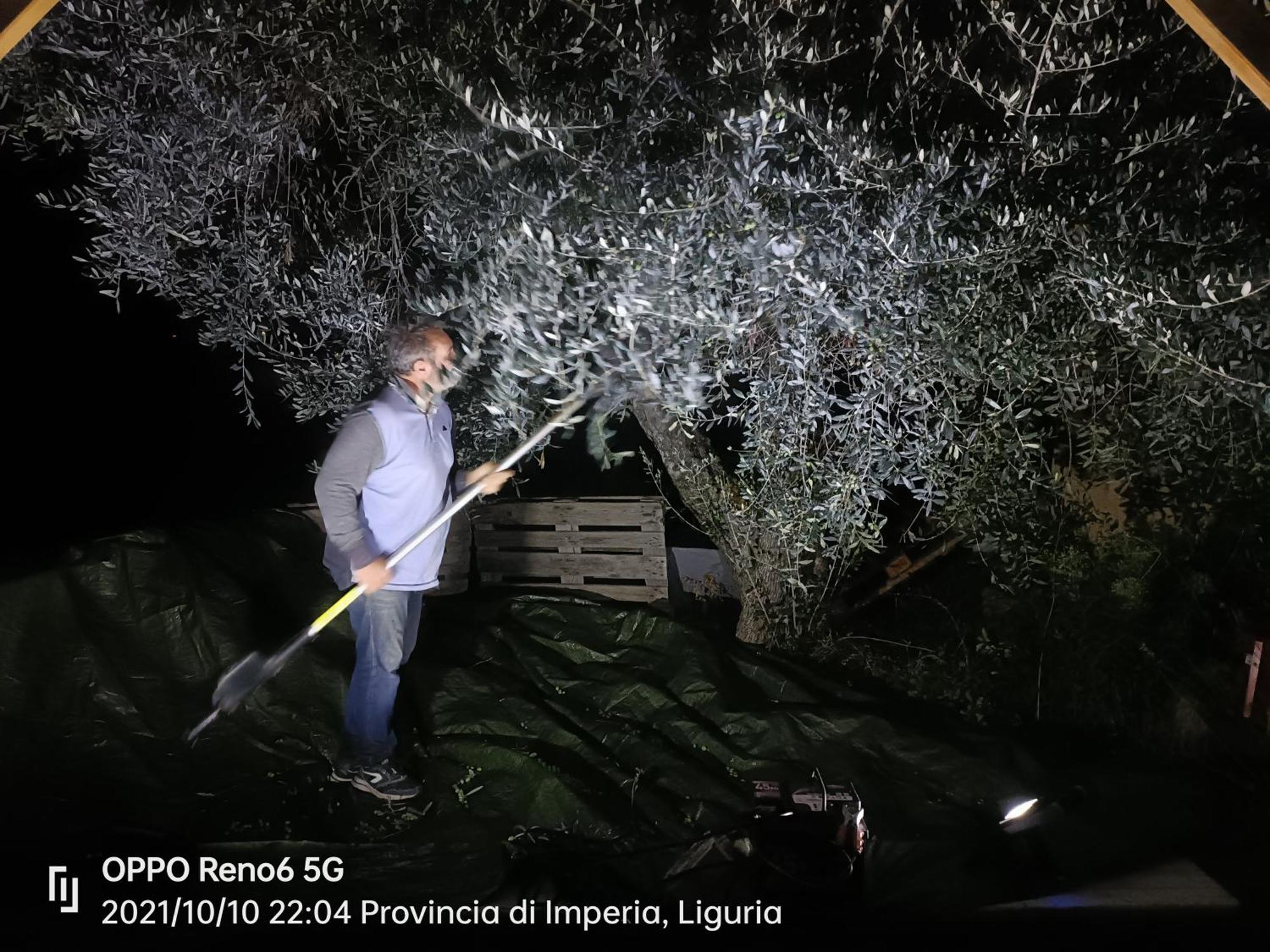 Agriturismo Monaci Templari Seborga Luaran gambar