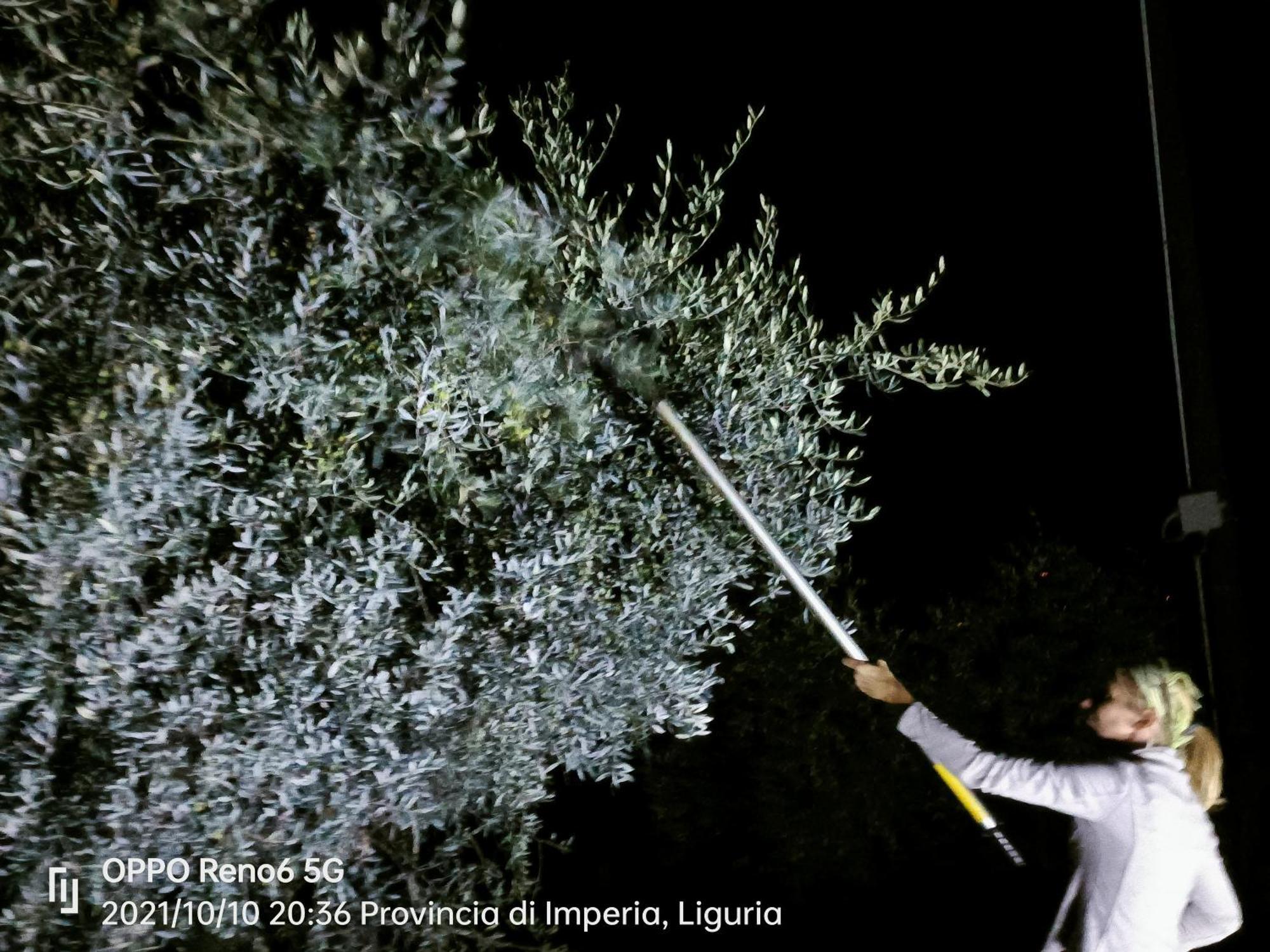Agriturismo Monaci Templari Seborga Luaran gambar