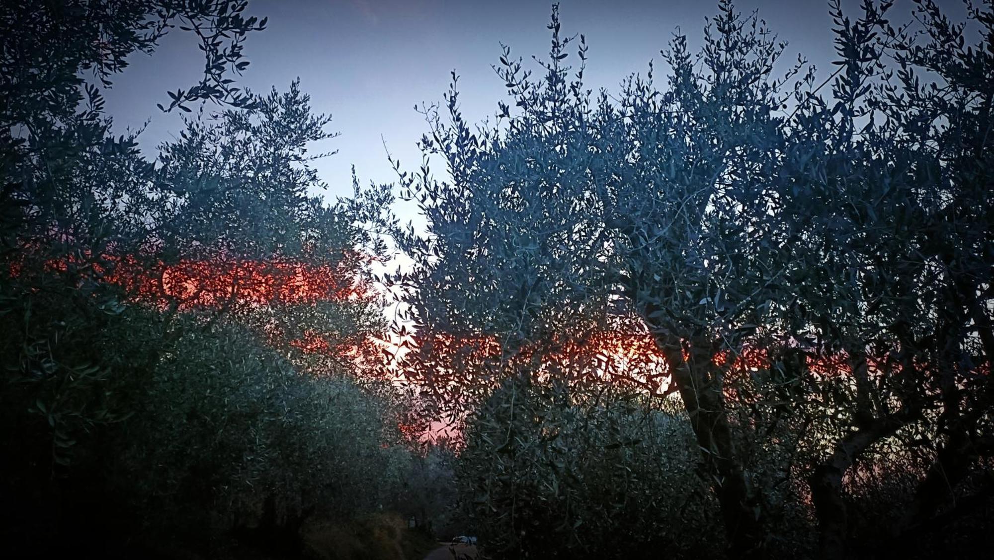 Agriturismo Monaci Templari Seborga Luaran gambar