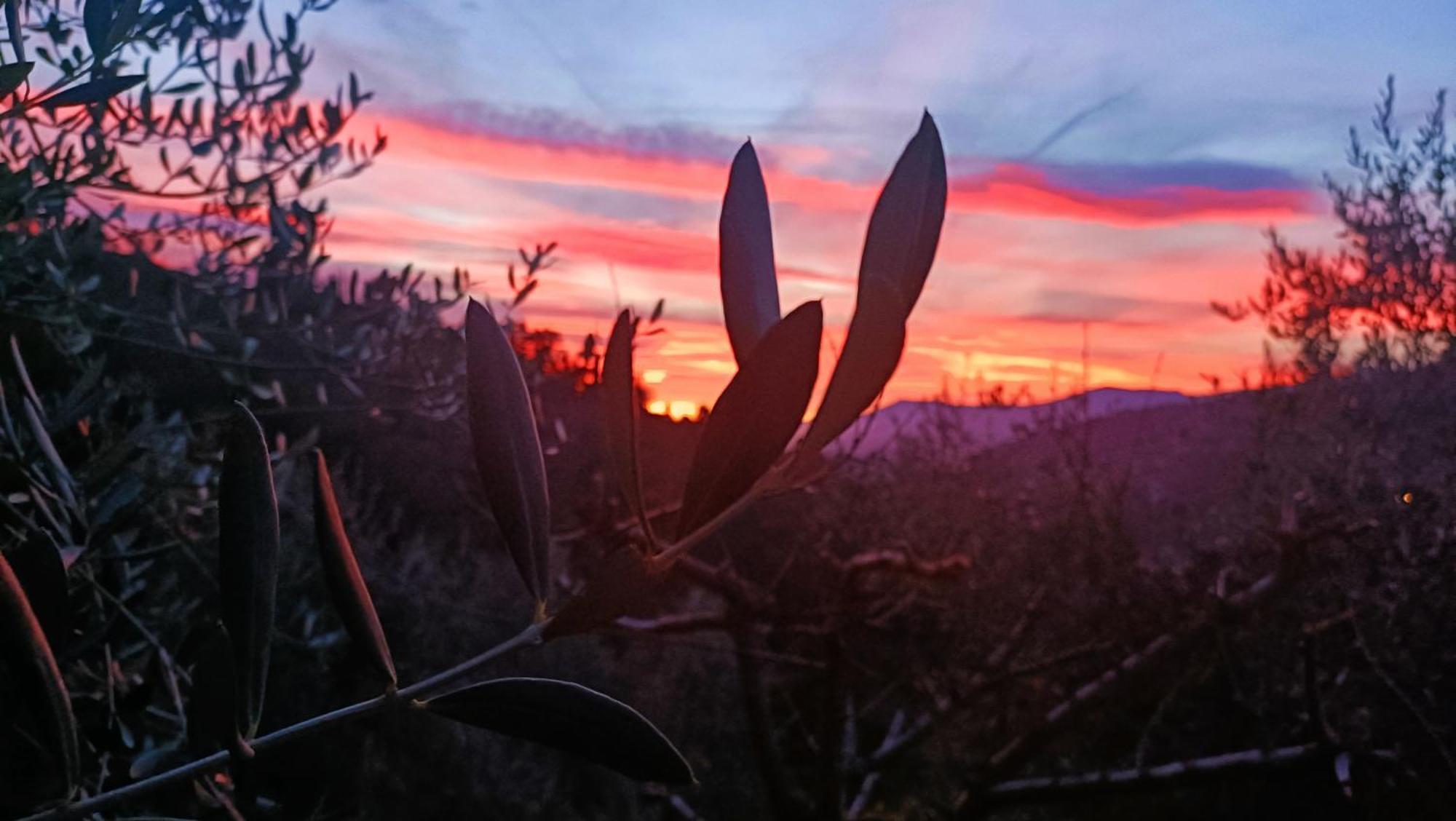 Agriturismo Monaci Templari Seborga Luaran gambar