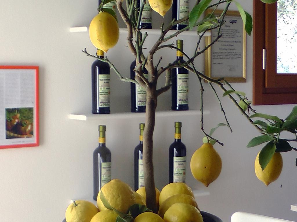 Agriturismo Monaci Templari Seborga Luaran gambar